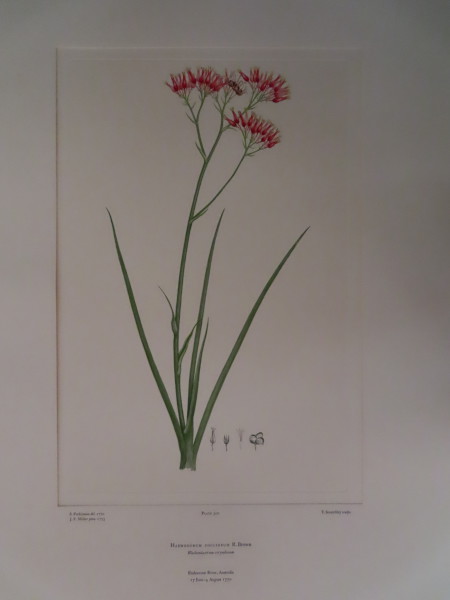 image FDA-E.2916_15_8-2016-A