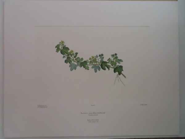 image FDA-E.2916_2_7-2016