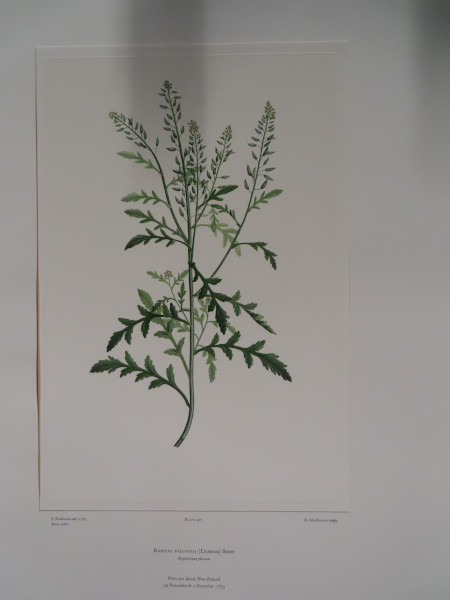 FDA-E.2916_20_9-2016-A image FDA-E.2916_20_9-2016-A