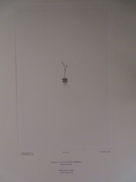 image FDA-E.2916_8_20-2016
