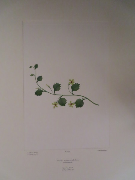 FDA-E.2916_8_26-2016-A image FDA-E.2916_8_26-2016-A