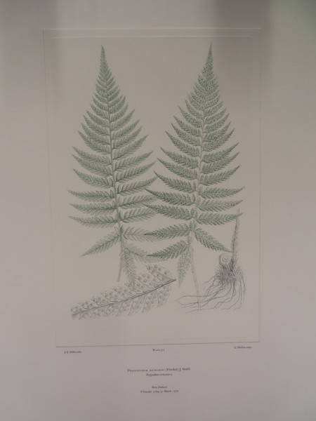 image FDA-E.2916_27_17-2016