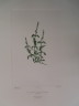 image FDA-E.2916_12_5-2016-A