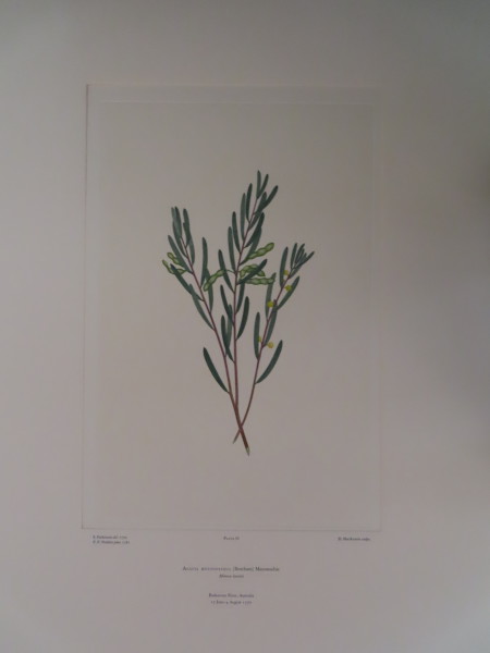 image FDA-E.2916_4_24-2016-A