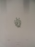 image FDA-E.2916_23_15-2016-A