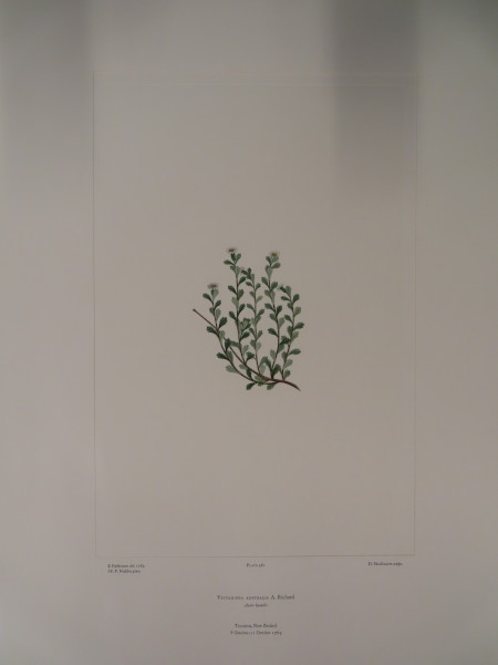 image FDA-E.2916_23_15-2016-A