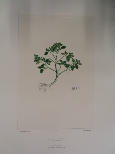 image FDA-E.2916_31_14-2016