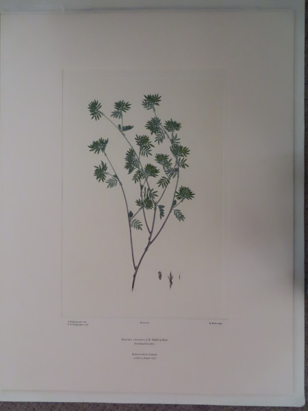FDA-E.2916_4_5-2016 image FDA-E.2916_4_5-2016