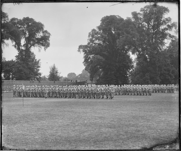 image PA-N.783-2024