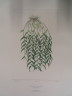 image FDA-E.2916_31_19-2016