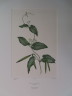 image FDA-E.2916_10_9-2016