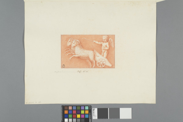 image ECL-Bm.4_36-2012