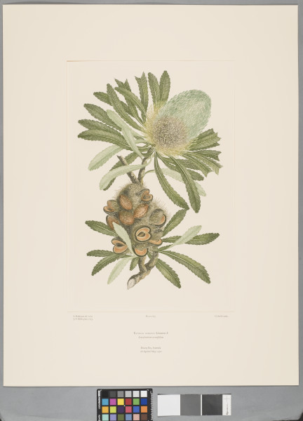 image FDA-E.2916_13_18-2016-C