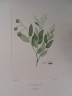 image FDA-E.2916_5_10-2016-A
