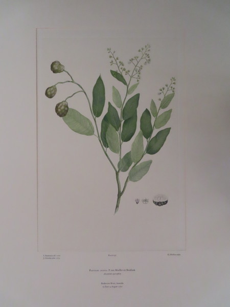 FDA-E.2916_5_10-2016-A image FDA-E.2916_5_10-2016-A