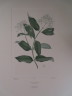 image FDA-E.2916_7_13-2016-A