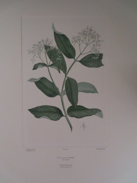 image FDA-E.2916_7_13-2016-A
