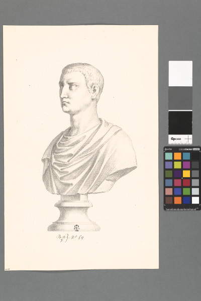 image ECL-Bn.1_65-2013