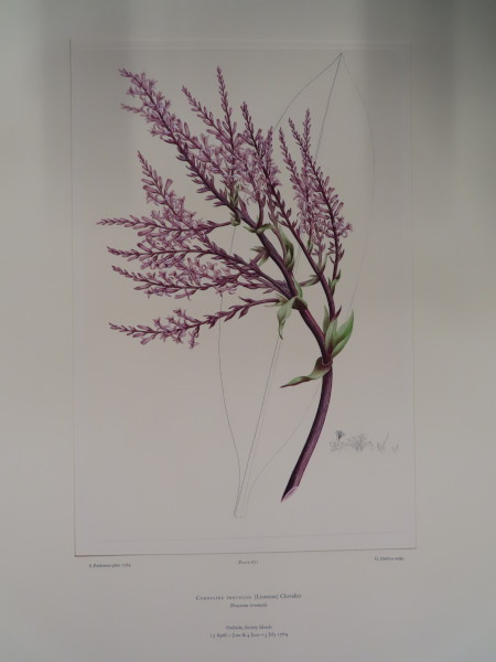 image FDA-E.2916_31_24-2016-A