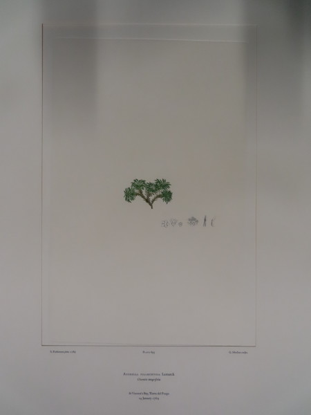 FDA-E.2916_33_4-2016 image FDA-E.2916_33_4-2016