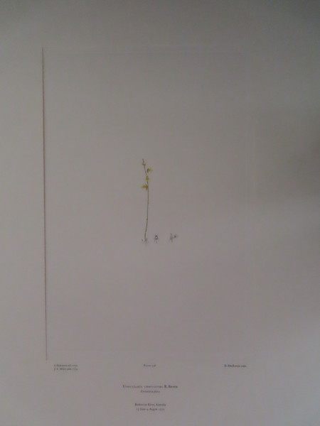 image FDA-E.2916_11_14-2016