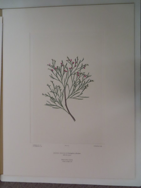 image FDA-E.2916_3_10-2016
