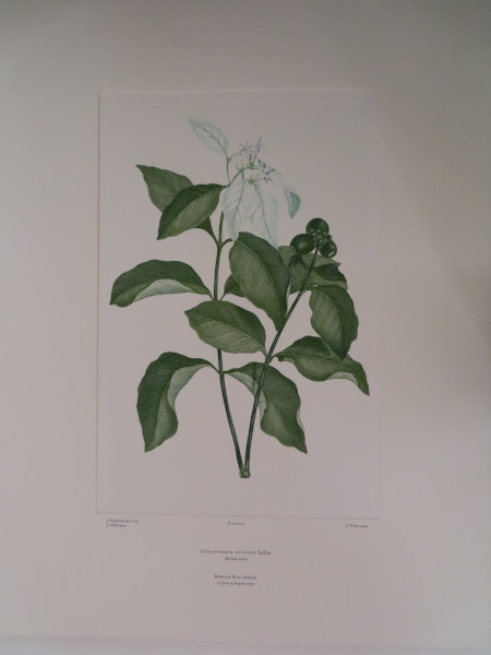 image FDA-E.2916_7_18-2016-A