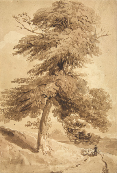 image FDA-D.586-2010