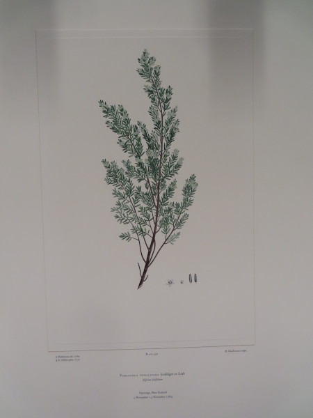 image FDA-E.2916_26_11-2016