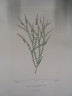 image FDA-E.2916_1_21-2016-A