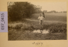 image PA-A.37_415-2012