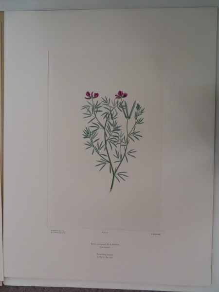 FDA-E.2916_3_15-2016 image FDA-E.2916_3_15-2016