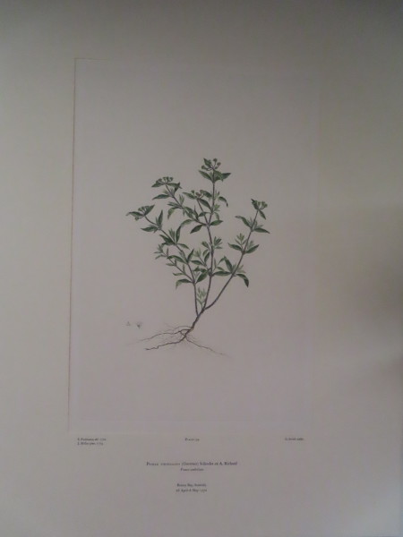 FDA-E.2916_7_22-2016 image FDA-E.2916_7_22-2016