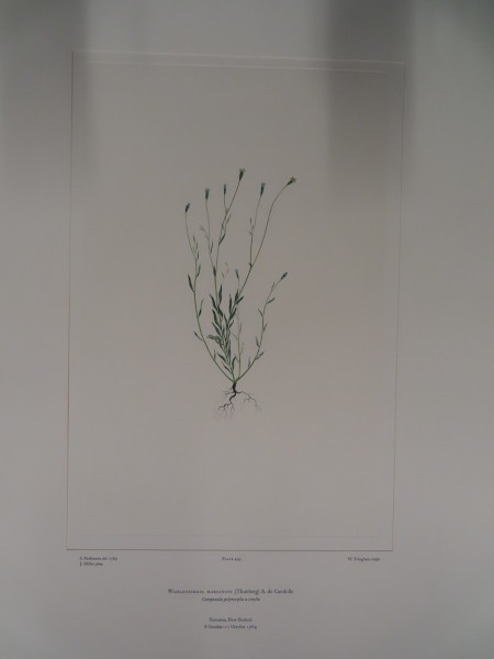 image FDA-E.2916_24_10-2016