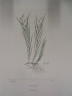 image FDA-E.2916_26_16-2016