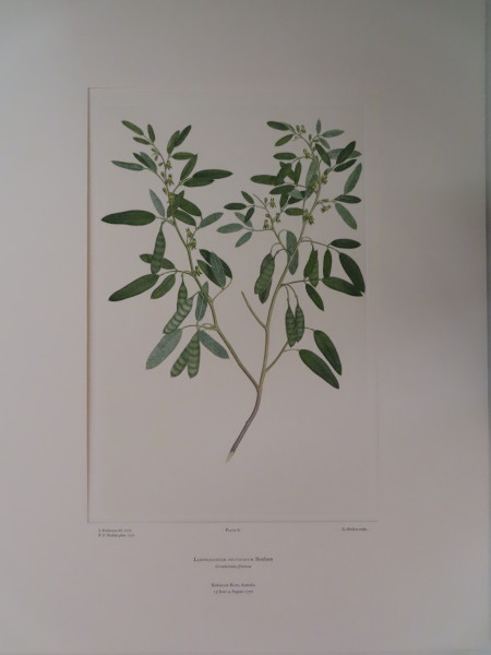 image FDA-E.2916_3_20-2016-A
