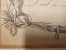 image FDA-E.3271-2024-C
