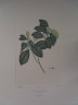 image FDA-E.2916_5_17-2016