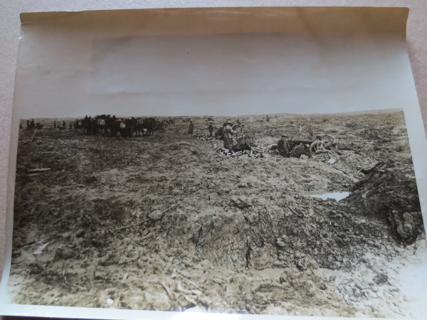 image ECL-O.146_7-2014
