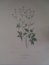 image FDA-E.2916_7_5-2016-A