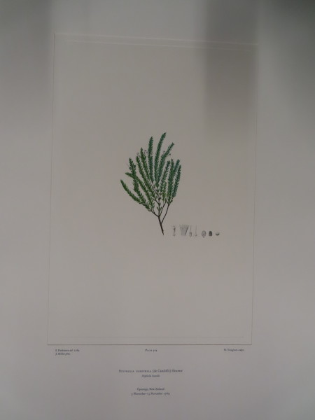 image FDA-E.2916_24_15-2016
