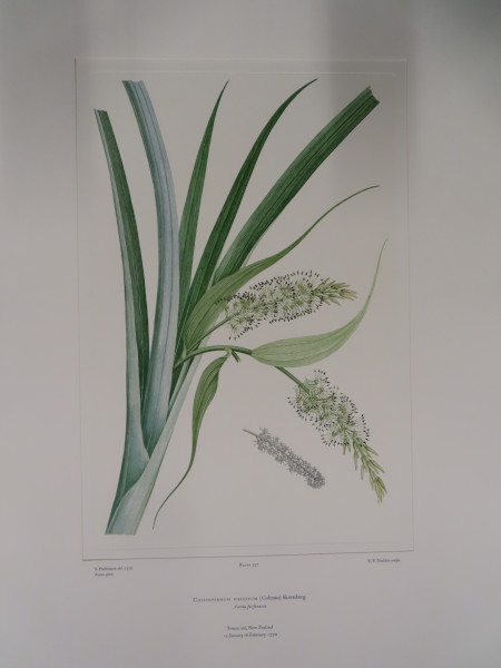 FDA-E.2916_26_22-2016-A image FDA-E.2916_26_22-2016-A