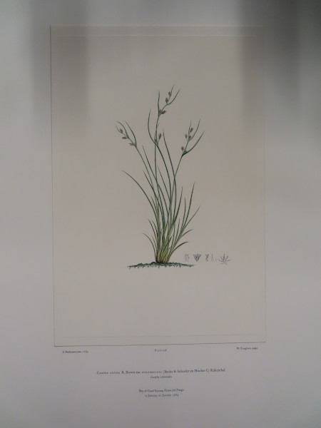 image FDA-E.2916_34_23-2016-A