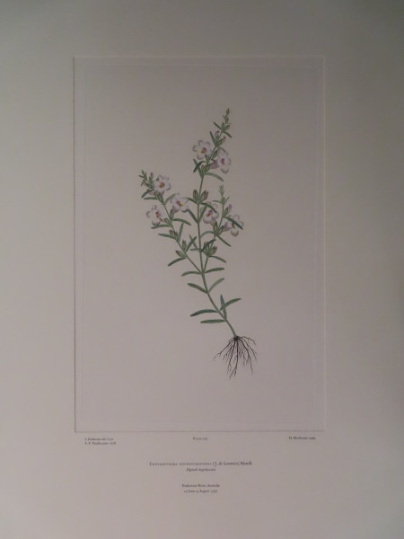 FDA-E.2916_11_8-2016 image FDA-E.2916_11_8-2016