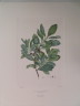 image FDA-E.2916_9_24-2016