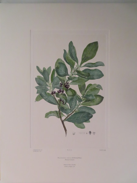 image FDA-E.2916_9_24-2016