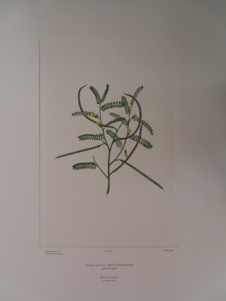 image FDA-E.2916_3_25-2016-A