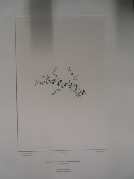 image FDA-E.2916_20_17-2016