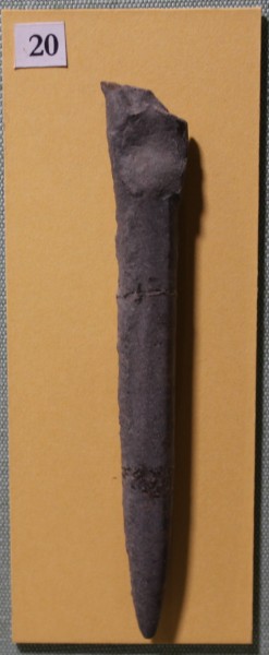 image NHM.481-2017