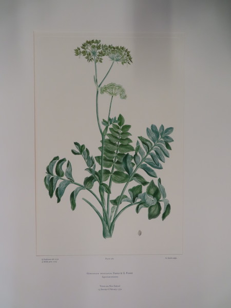 image FDA-E.2916_22_19-2016